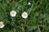 dsc_0025_small.jpg