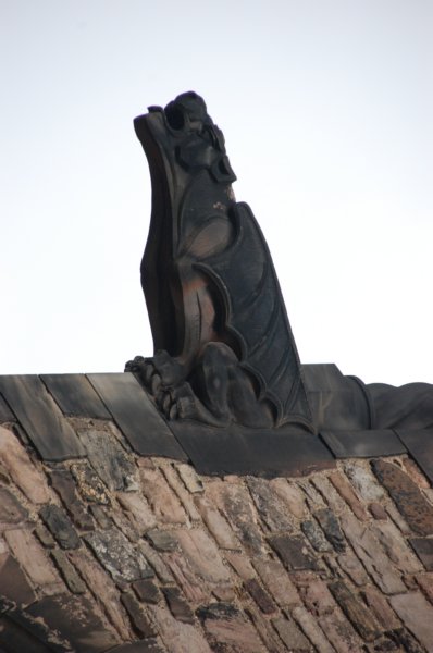 dsc_0050.jpg